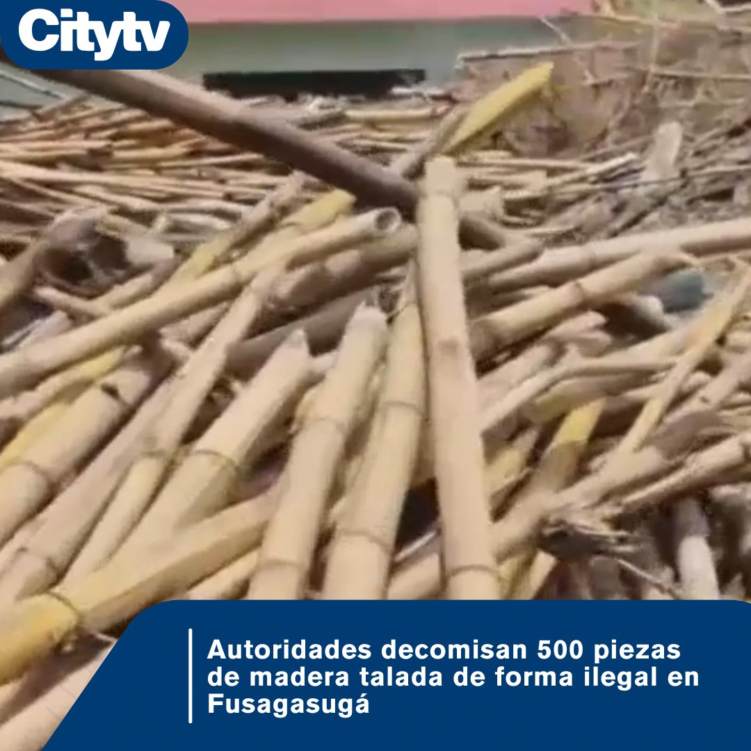 Citytv's tweet image. #MedioAmbiente | 🌲 La CAR Sumapaz logró frenar una grave acción contra el medio ambiente de la zona. Más información.👇
citytv.eltiempo.com/fotos-y-videos…
