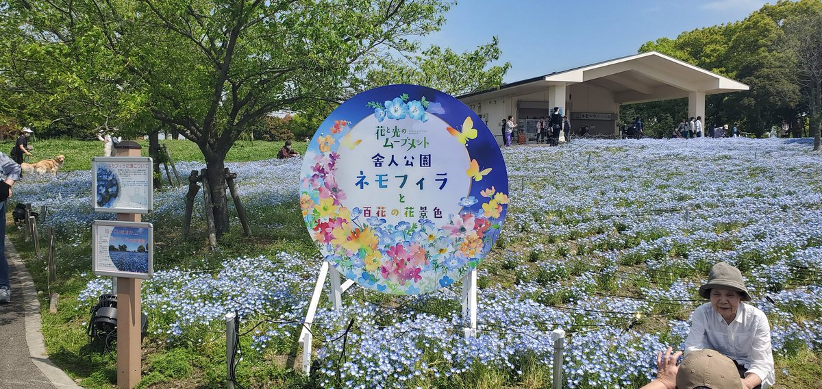 ウサミン tweet media