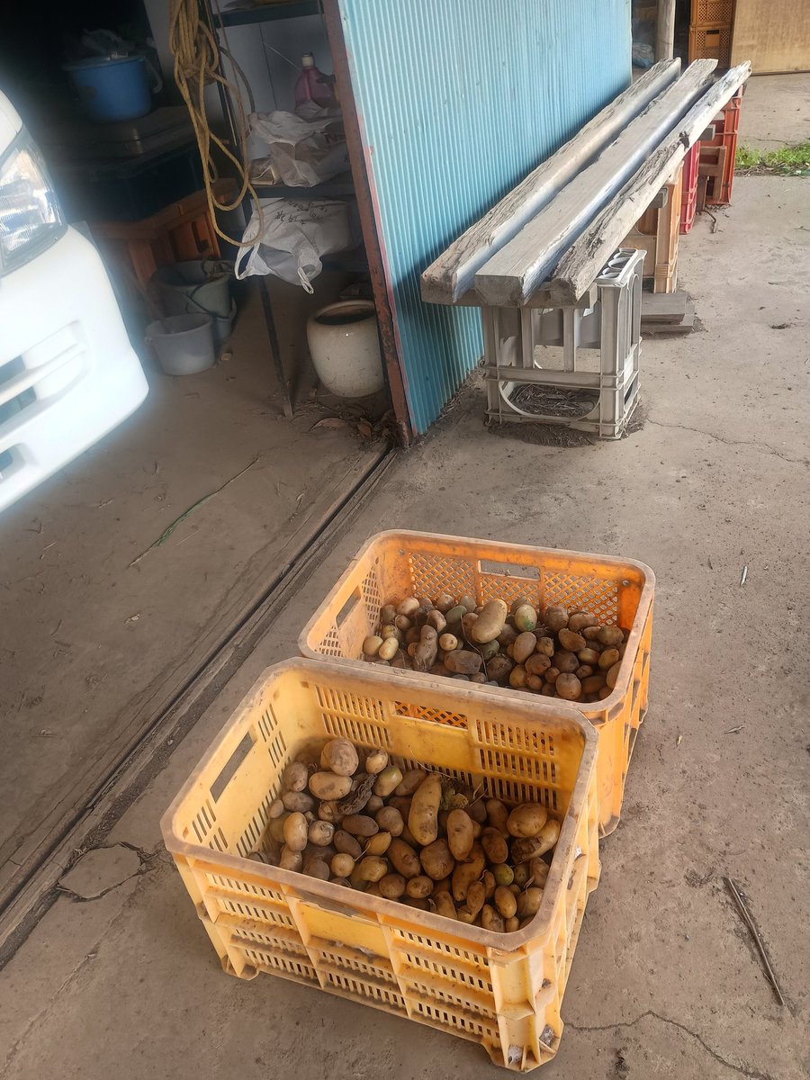 nojimoji1's tweet image. 5/3の🙂
◇千葉の農家の友だちん家に泊まって朝から農作業🚜
◇35年前にイスラエルの農場で出会って、この歳になっても同じようなことやって一緒に居て楽な友だちに感謝の一日🥔
◇スマホケース届いてた📱
◇録画してた ＃ボブ・マーレー 特集観て寝た
＃Redemption Song🎸 
youtu.be/yv5xonFSC4c?si…