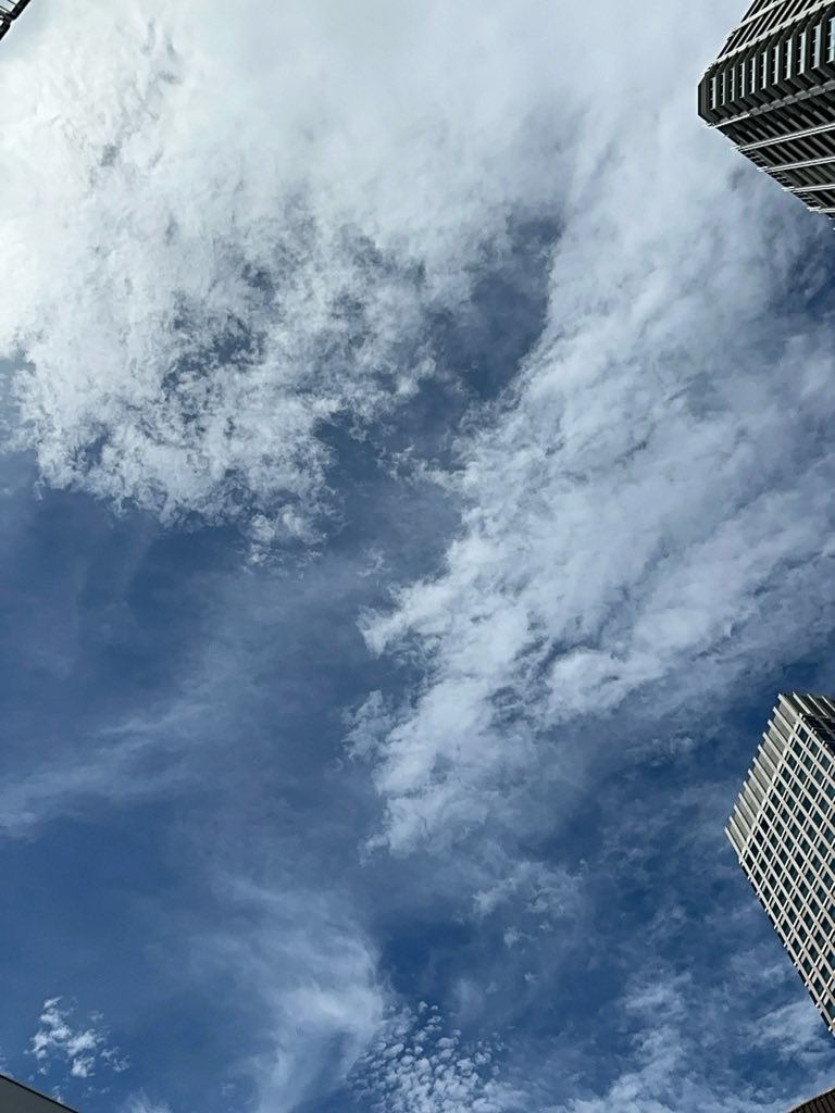 taka_aki's tweet photo. 巻雲(Ci)を発見! 🌤️
「巻雲(Ci)の観察」
#CloudWatcher #巻雲 #雲観察 https://t.co/N6JADFgoFg