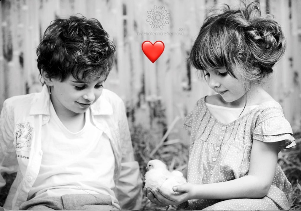 ⚜️همسة غـلآ •• tweet media