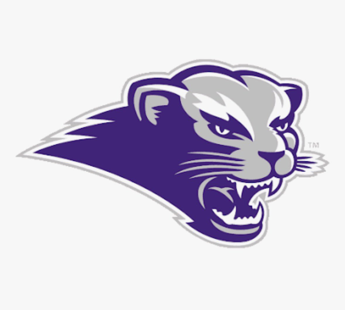 EsckoLaw_'s tweet photo. After a great call with @CoachDNew_ I am blessed to receive an offer from @sbubearcats_fb !!! https://t.co/FjHHXRcMQq