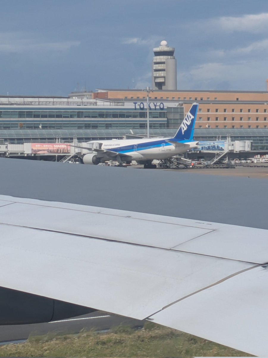 ミネリ tweet media
