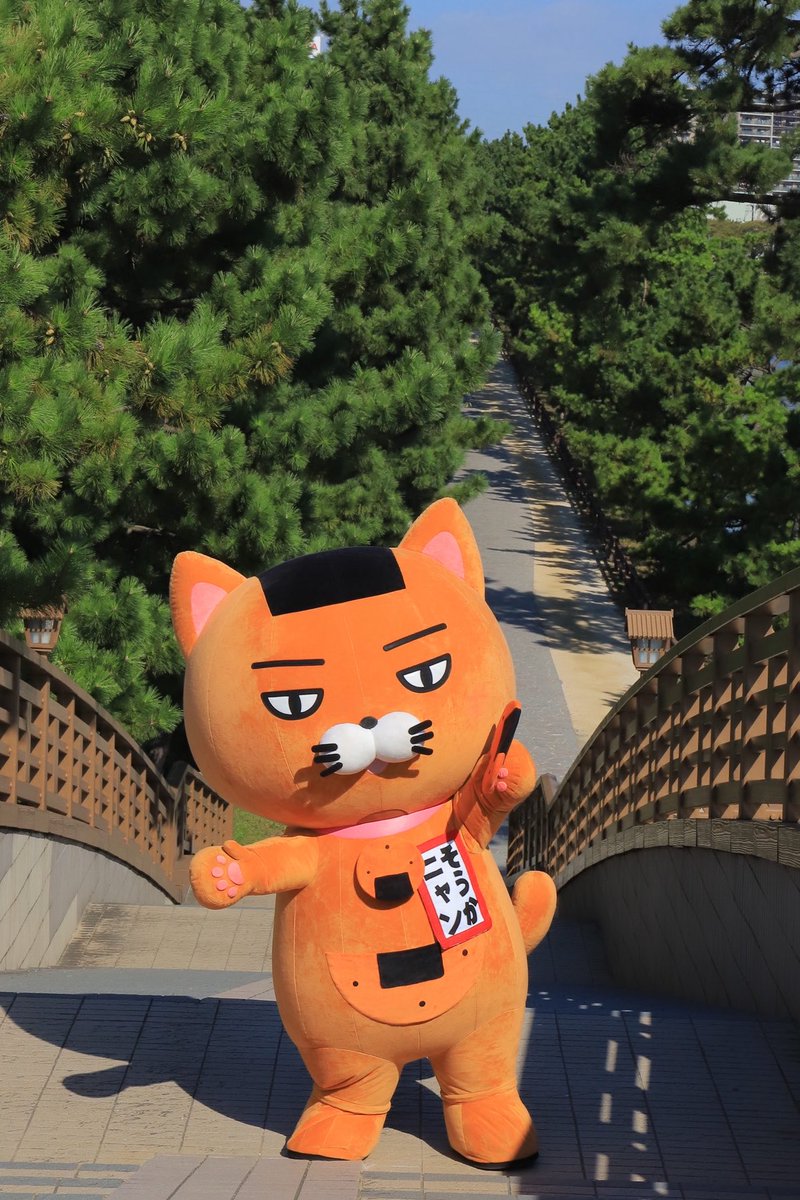 おはよニャーンฅ(ↀᴥↀ)ฅ🍘✨ 今日は『みどりの日』ニャン🌲 自然は