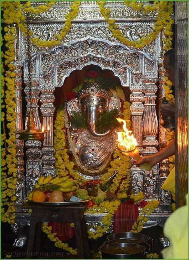 Bhumi Dixit tweet media