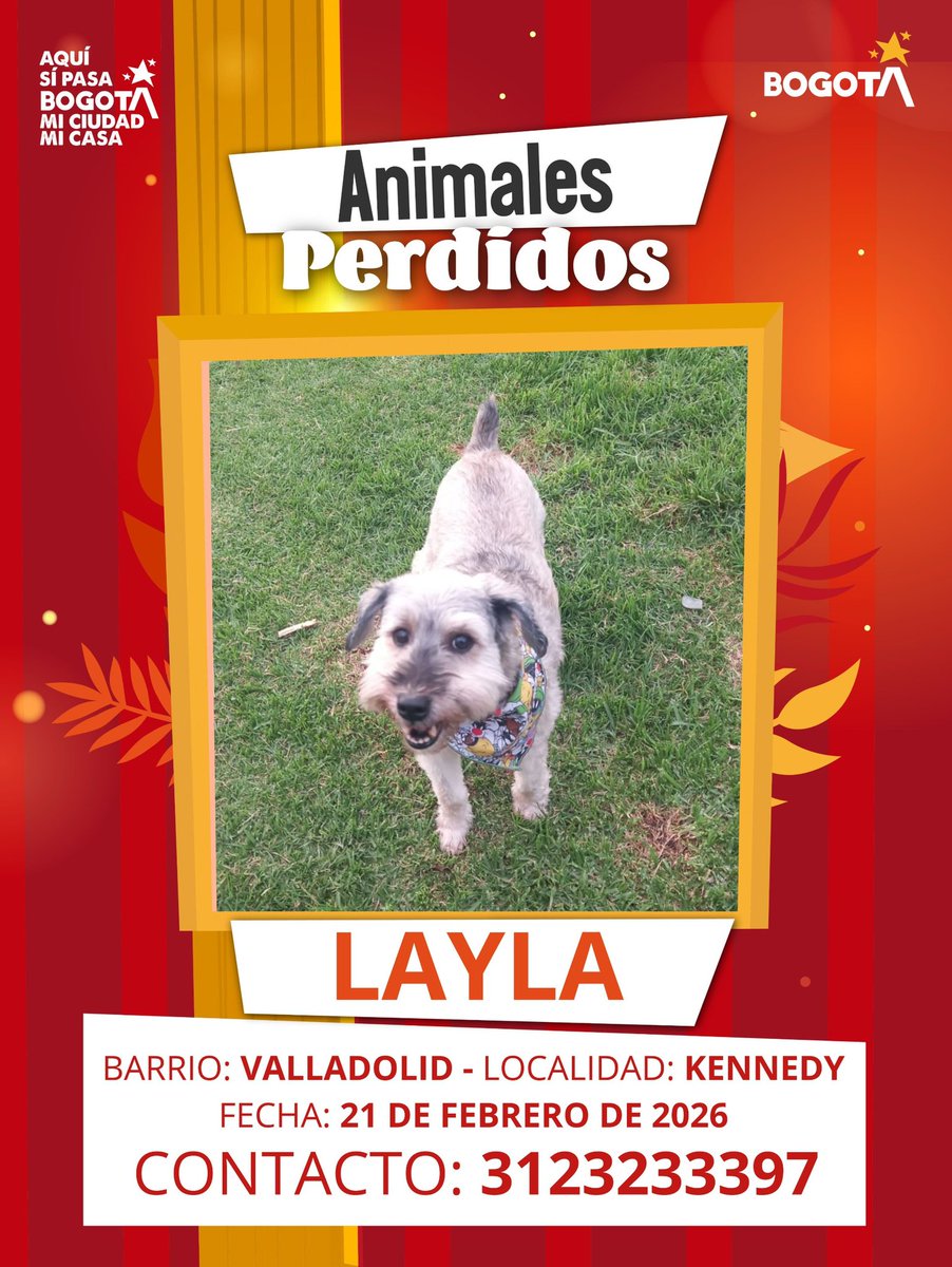 Protección Animal Bogotá tweet media