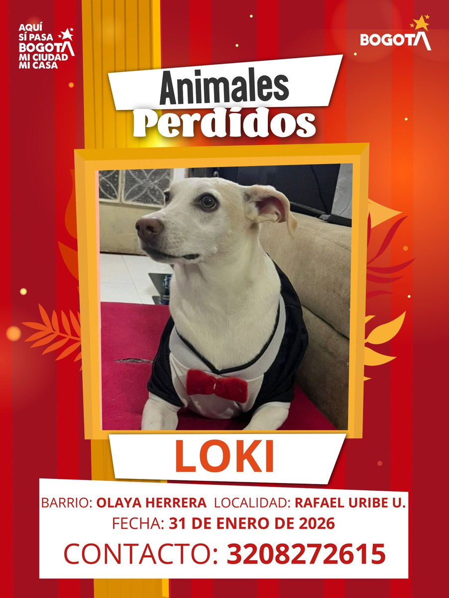 Protección Animal Bogotá tweet media