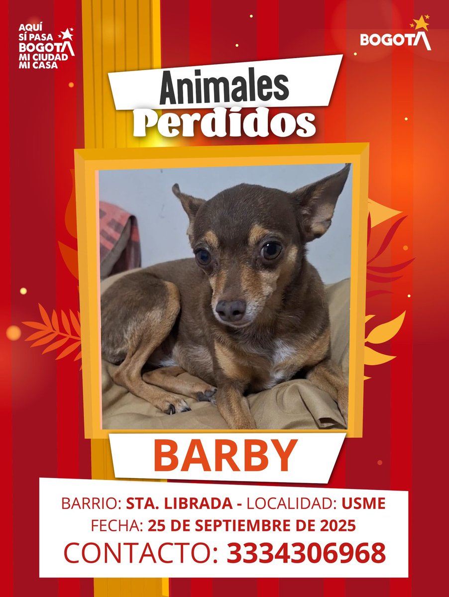 Protección Animal Bogotá tweet media