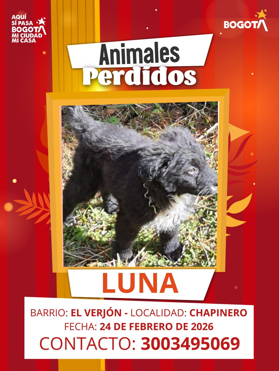Protección Animal Bogotá tweet media