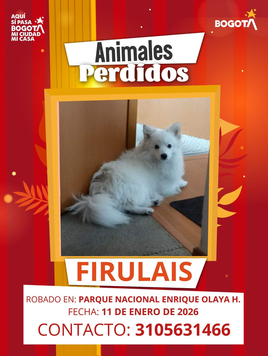 Protección Animal Bogotá tweet media