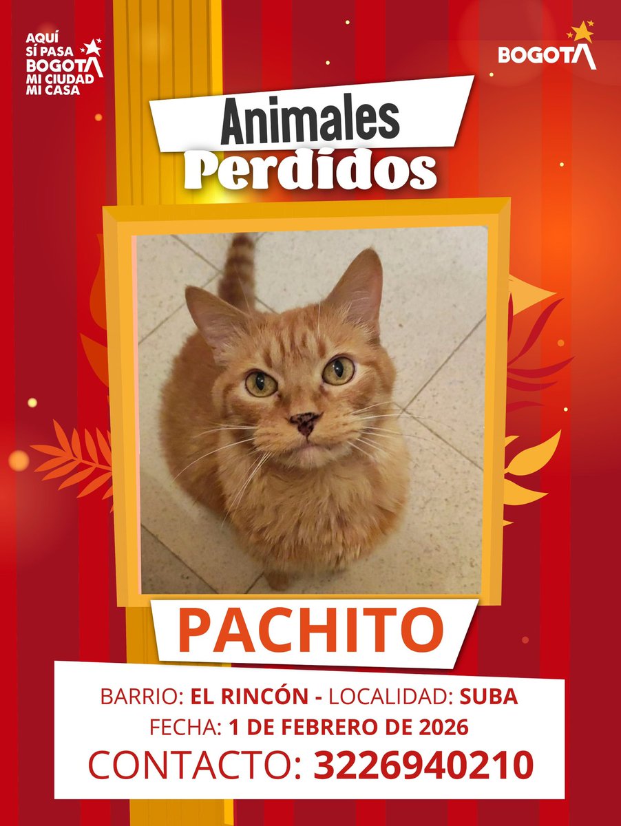 Protección Animal Bogotá tweet media