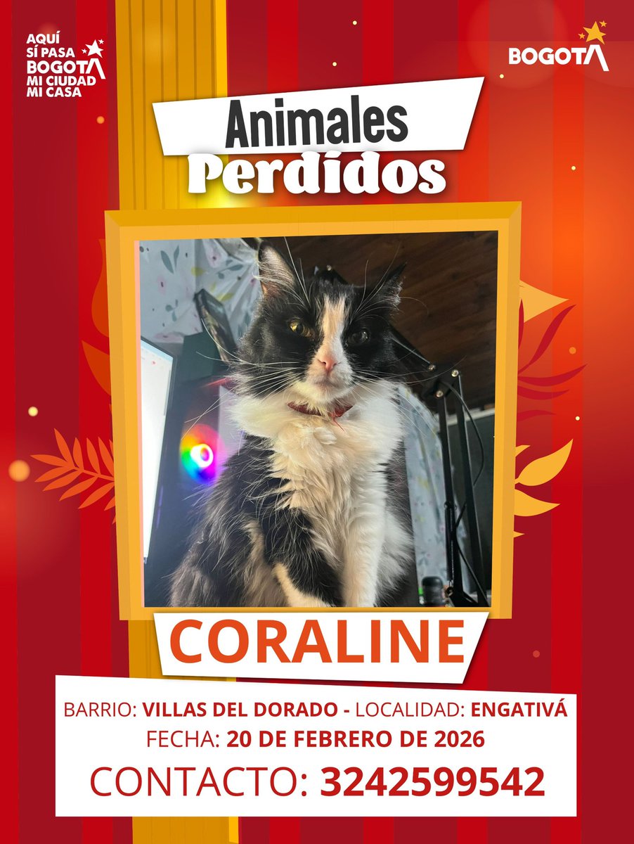 Protección Animal Bogotá tweet media