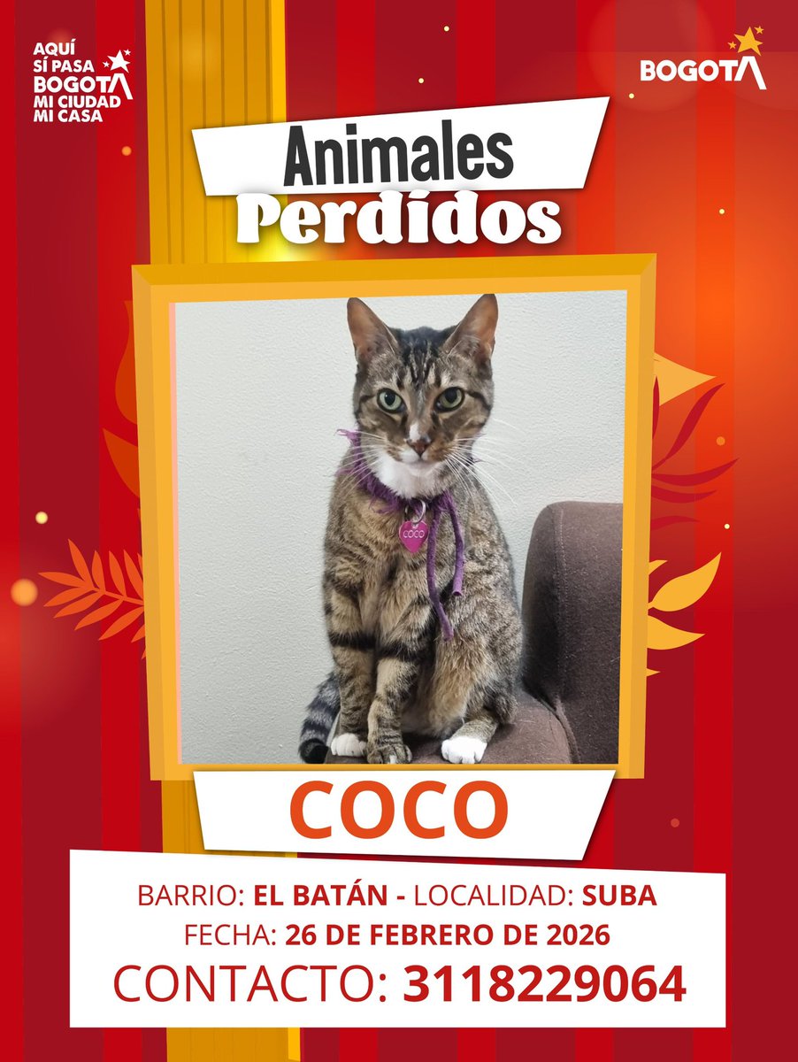 Protección Animal Bogotá tweet media