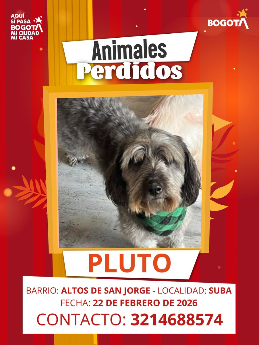 Protección Animal Bogotá tweet media