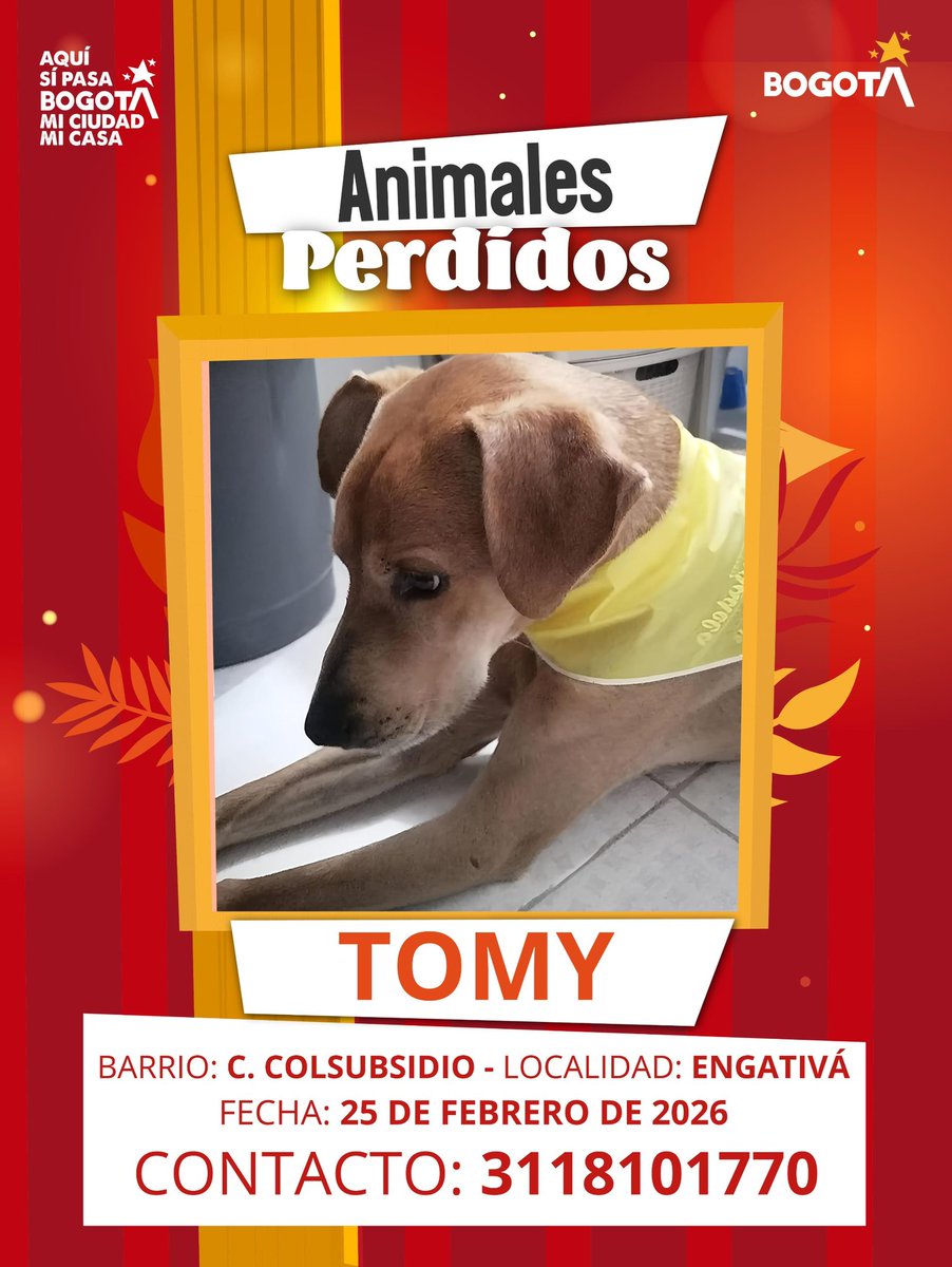 Protección Animal Bogotá tweet media