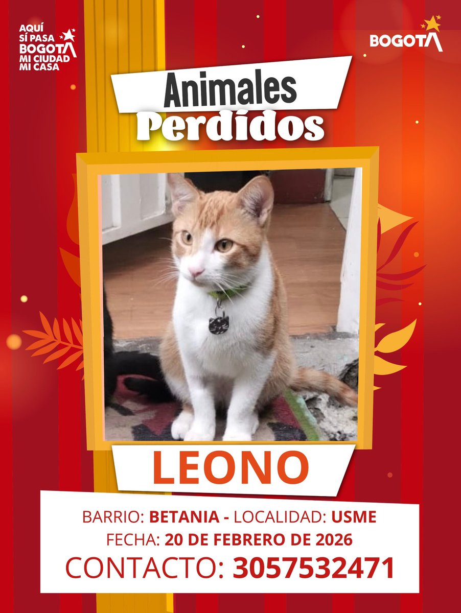 Protección Animal Bogotá tweet media