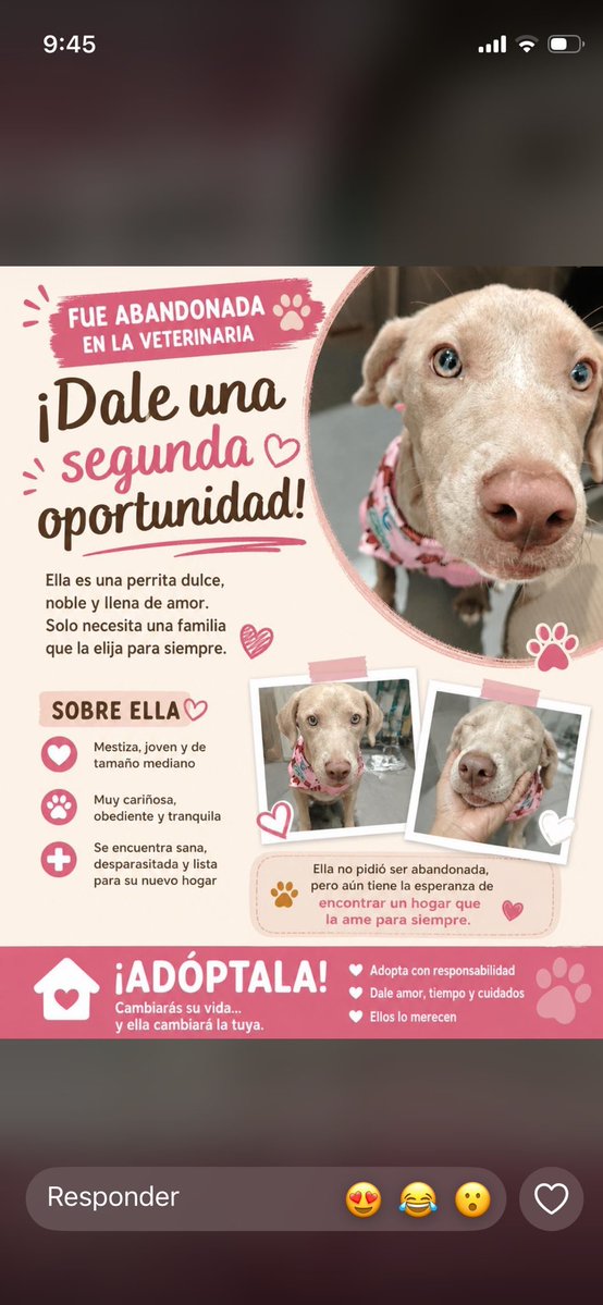 Callao Noticias tweet media