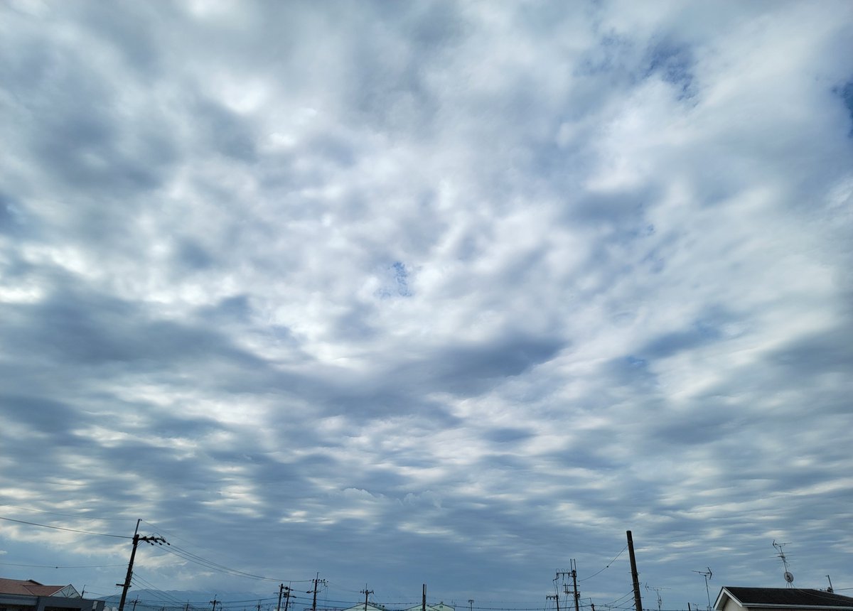 密花❁⃘*.ﾟ tweet media