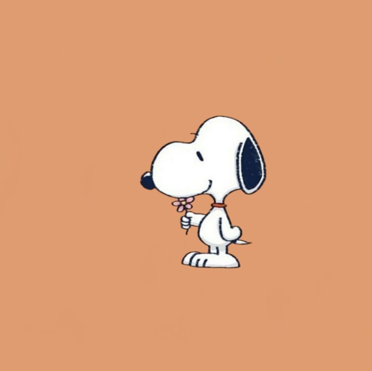Snoopy tweet media