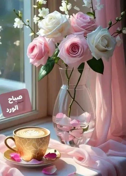 👑 Hisham Hassan tweet media