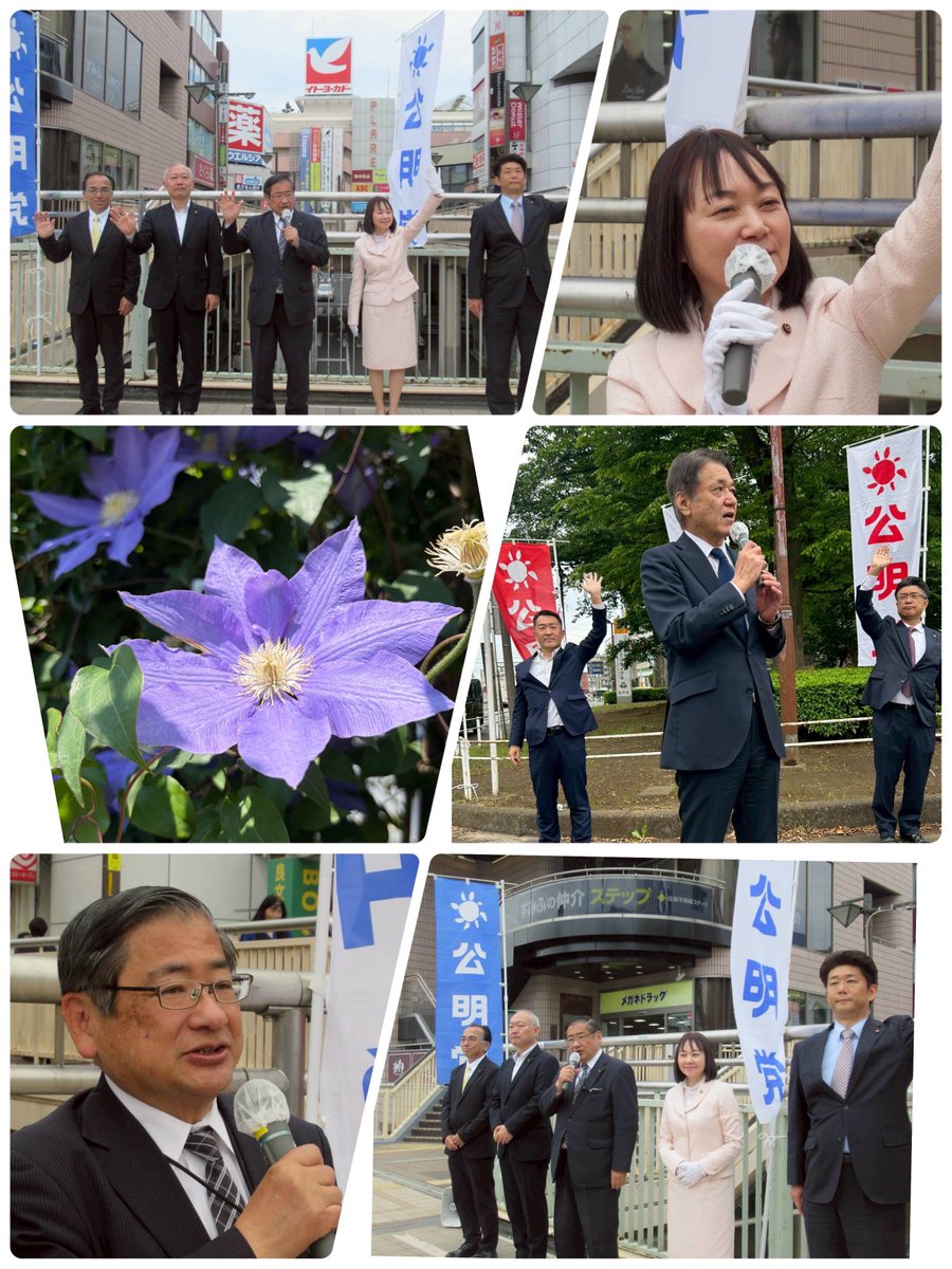 岩瀬まり【松戸市議会議員】🌹 tweet media