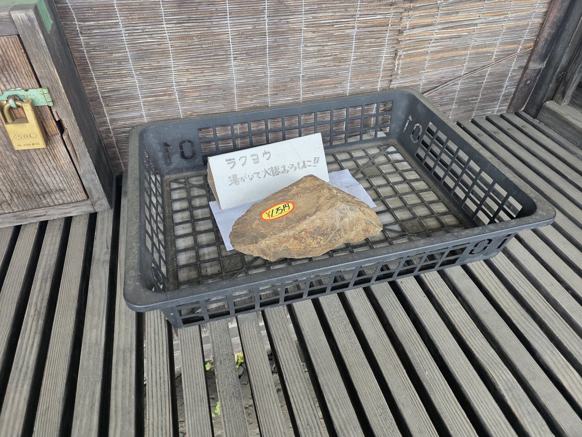 【中古】 小鳥は去った 石はまだあったし、鳥のはね増えてたw
