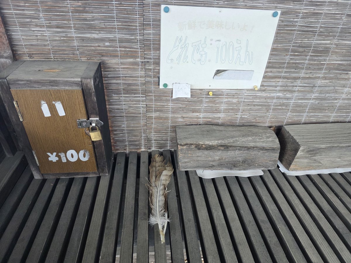 【中古】 小鳥は去った 石はまだあったし、鳥のはね増えてたw