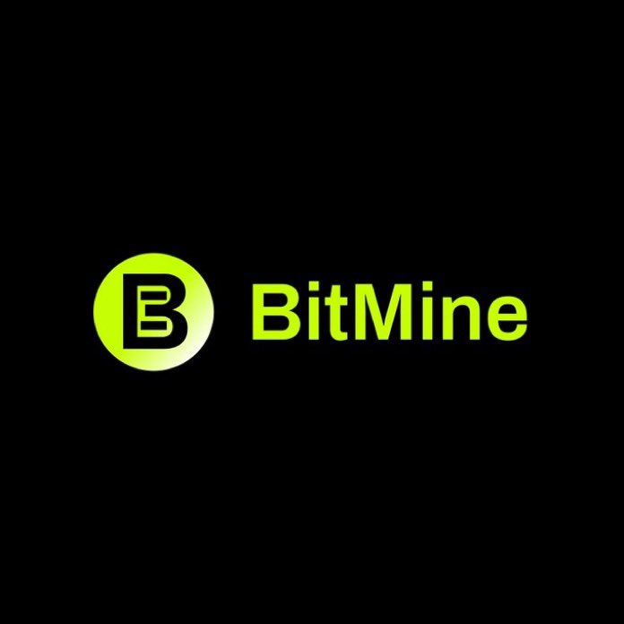 BMNR Bullz tweet media