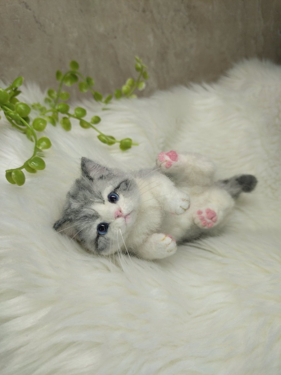ひらぴー *羊毛フェルト* tweet media