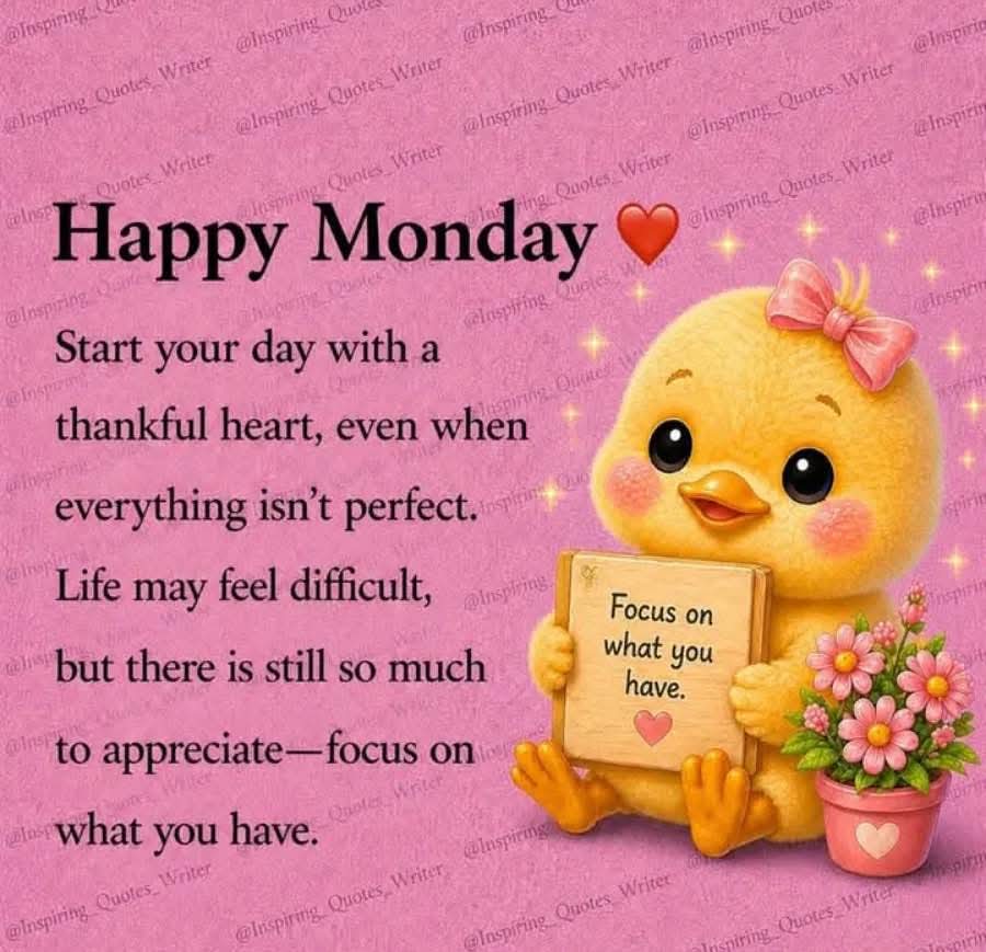 samiraa19254405's tweet image. #happy #monday 😊