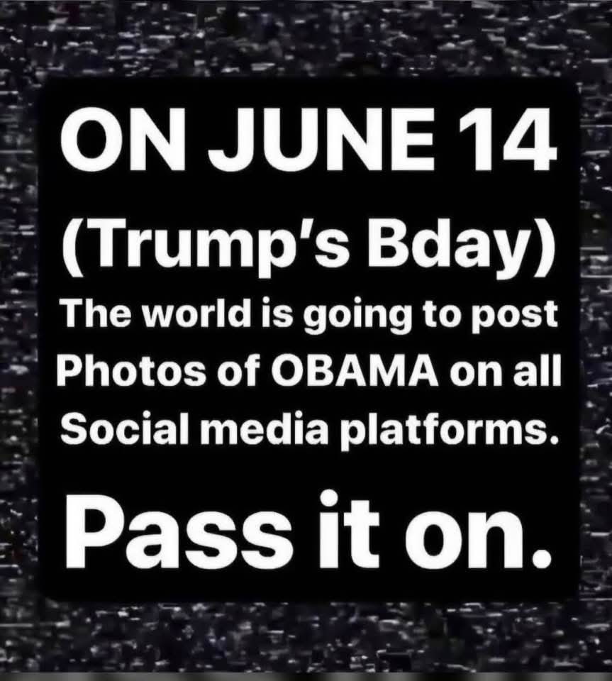 Danielle Candela tweet media