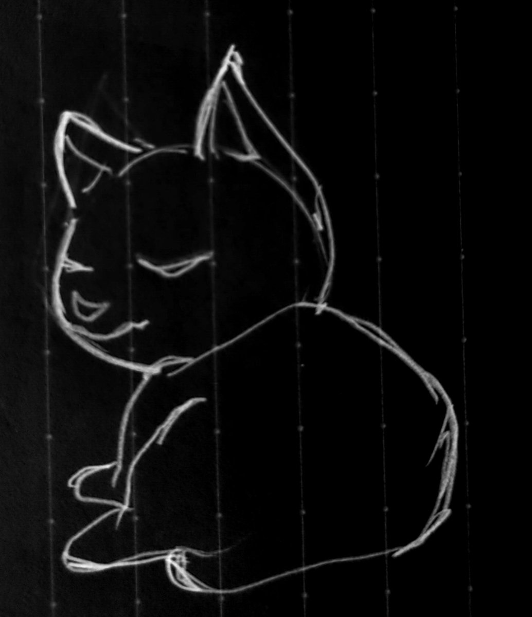 ___BOOTLEG's tweet photo. ねこちゃん https://t.co/Sn4EMEPuvO