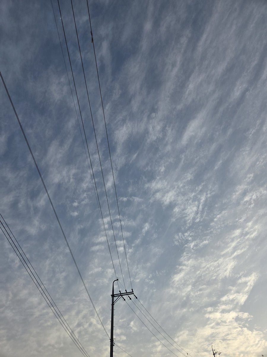 스메라기(スメラギ) tweet media