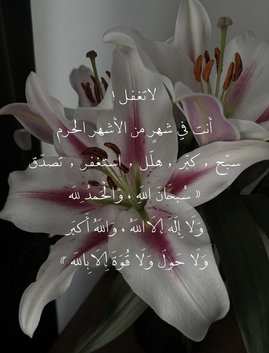 ilulii_1's tweet photo. https://t.co/NyDnyTkBnl