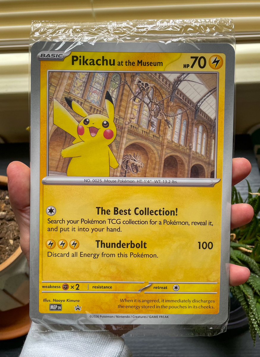 PokéCardsDaily tweet media