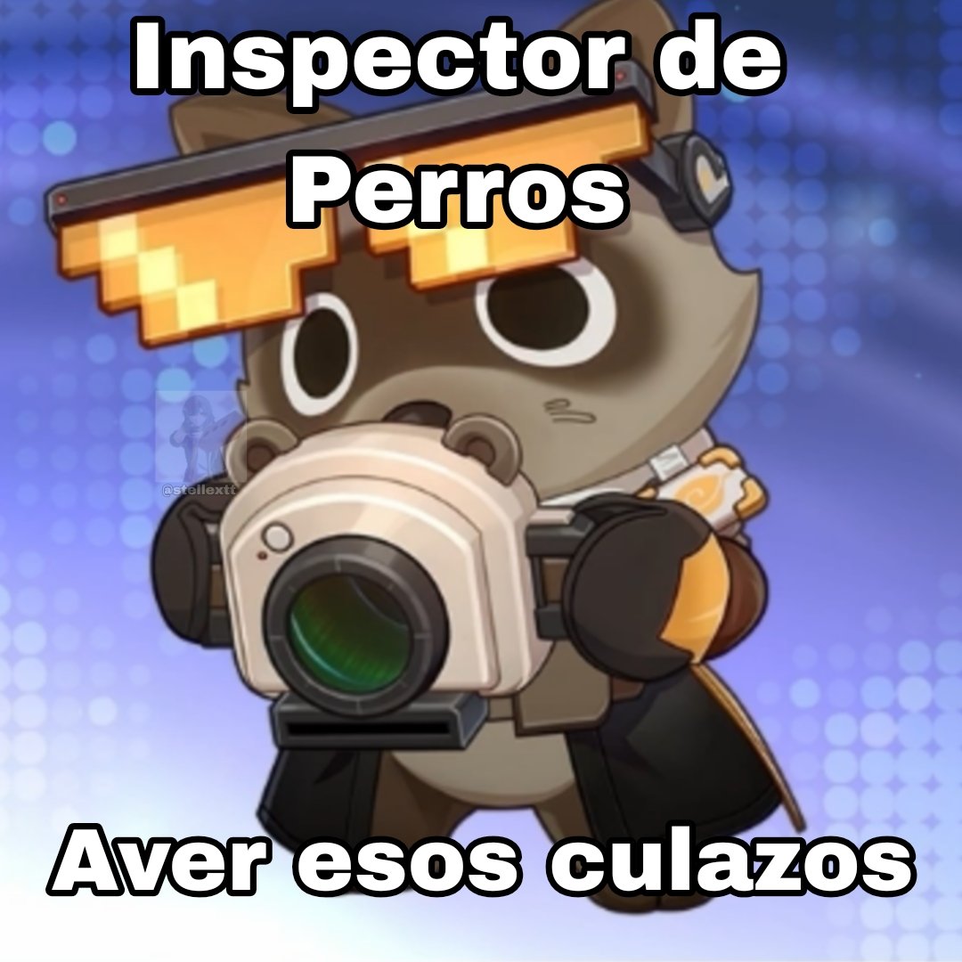 FOLLADOR tweet media