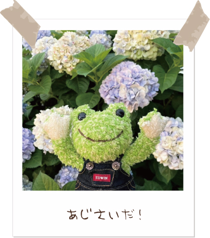 かえるのピクルス/pickles the frog (@picklesthefrog6) / Posts / X