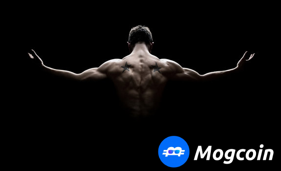 Mogcoin tweet media