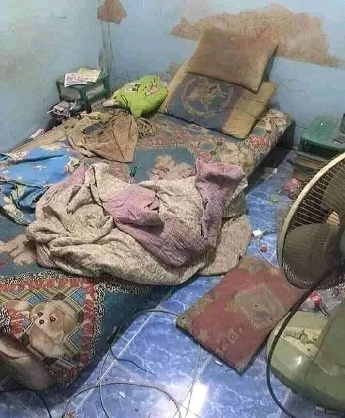 ℋ𝒜ℳ𝒪𝒪𝒟𝒴 🇮🇶 tweet media