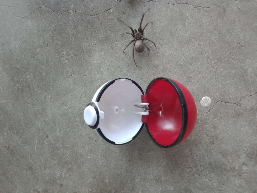 #pokemontarget