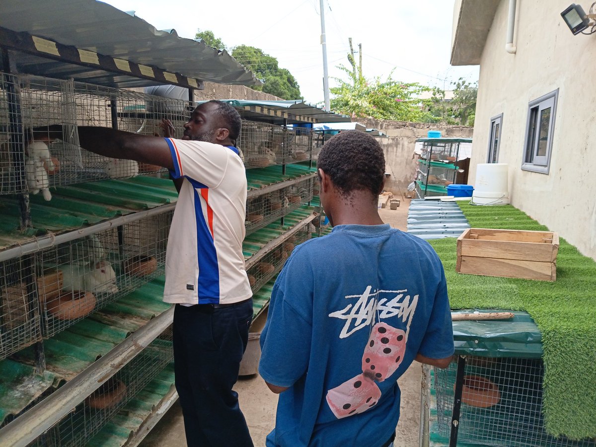okyere_romeo's tweet photo. A little visit ,Eziefarms https://t.co/xMvOI5huIJ