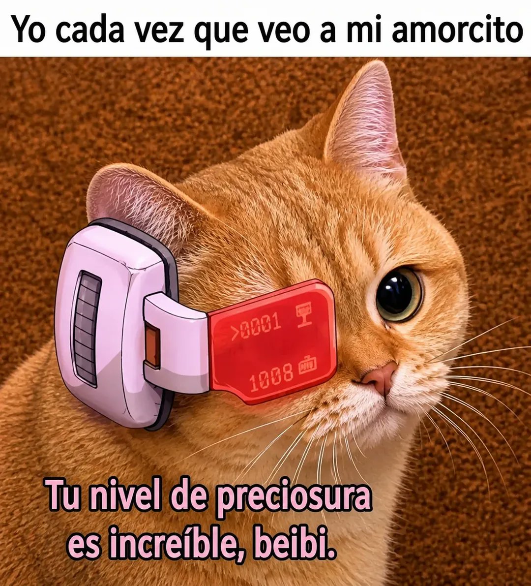Escritos tweet media