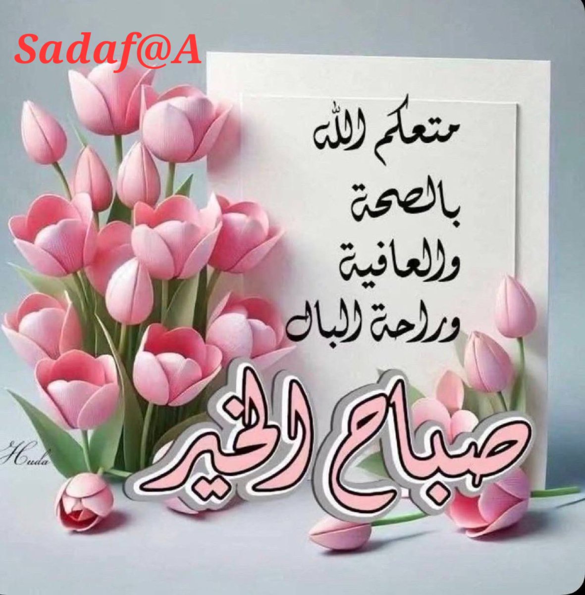 ‏صـــــد𝓈𝒶𝒹𝒶𝒻𝓈𝒽𝑒𝓇𝒾𝒻𝒻فـــ‏‏ tweet media