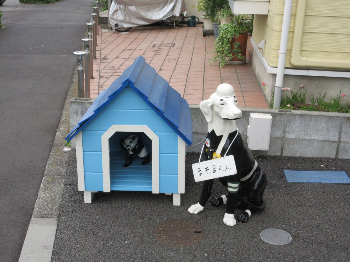 バカ殿みたいにされてしまった犬