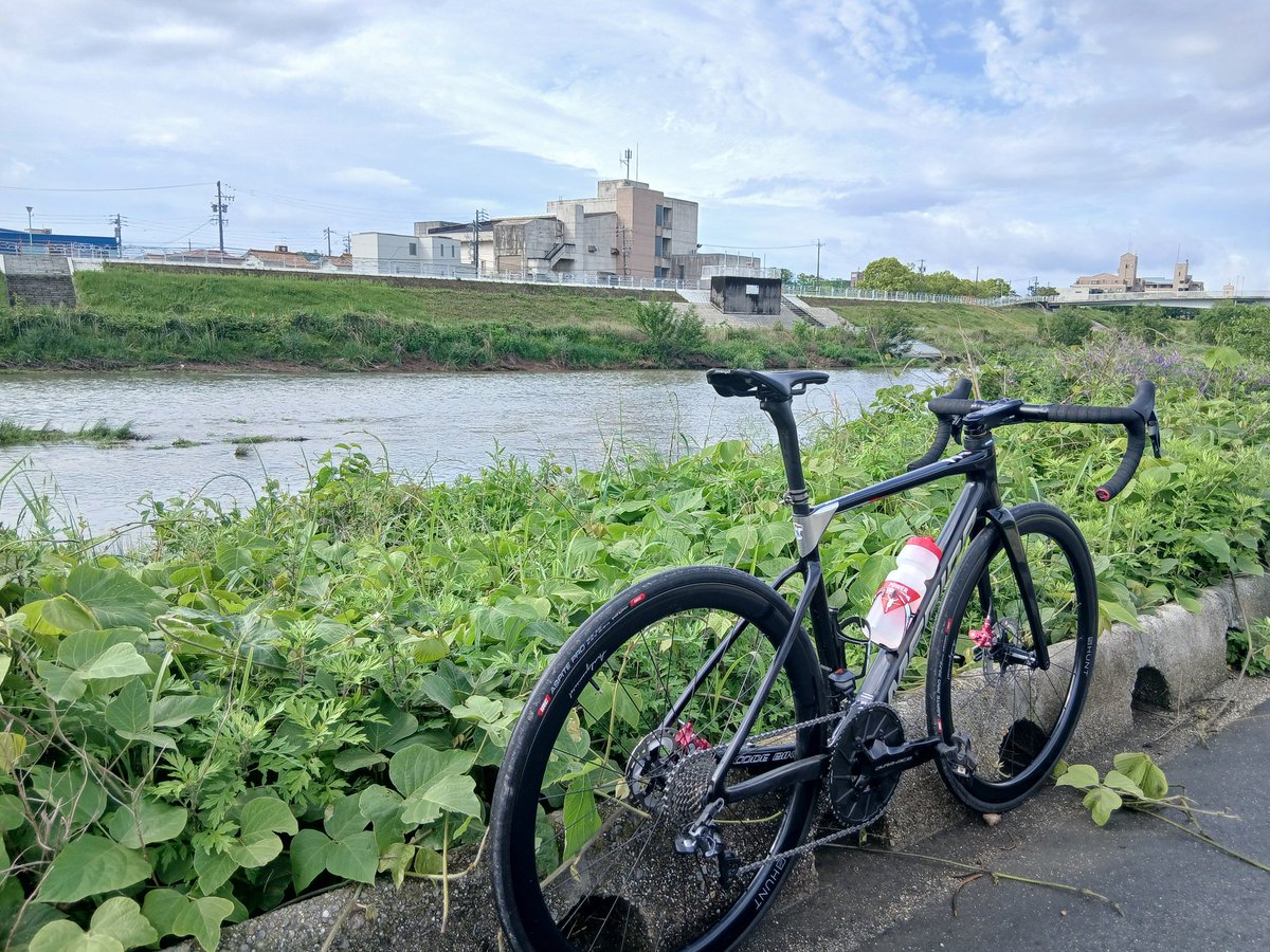 ミント8year tweet media