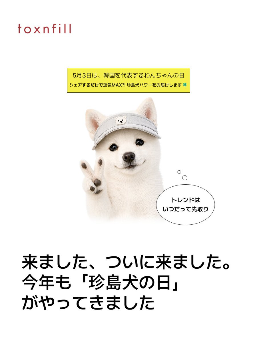 🐶 JINDO DAY 来ました、来ましたよ 今回は珍島犬の日! 5月3日は韓国を