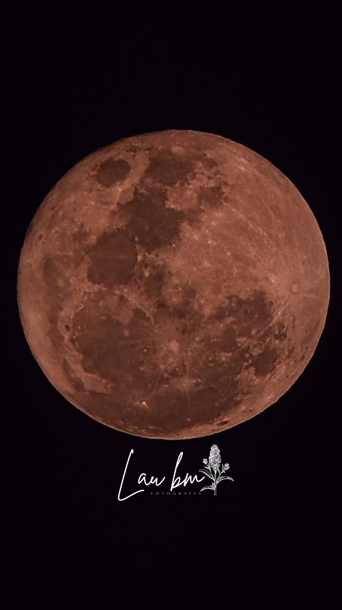 laubm1990's tweet photo. • 𝗟𝗨𝗡𝗔 𝗗𝗘 𝗟𝗔𝗦 𝗙𝗟𝗢𝗥𝗘𝗦 •🪻🌕✨
| 01 de mayo de 2026 |

Iluminada al 100% a 401,650.08 km de distancia en la constelación de Escorpio. ♏✨

Hora: 07:58 p.m.
Fecha: 01/05/2026

#lunadelasflores #fullmoon #moon https://t.co/nMZRGmIooo