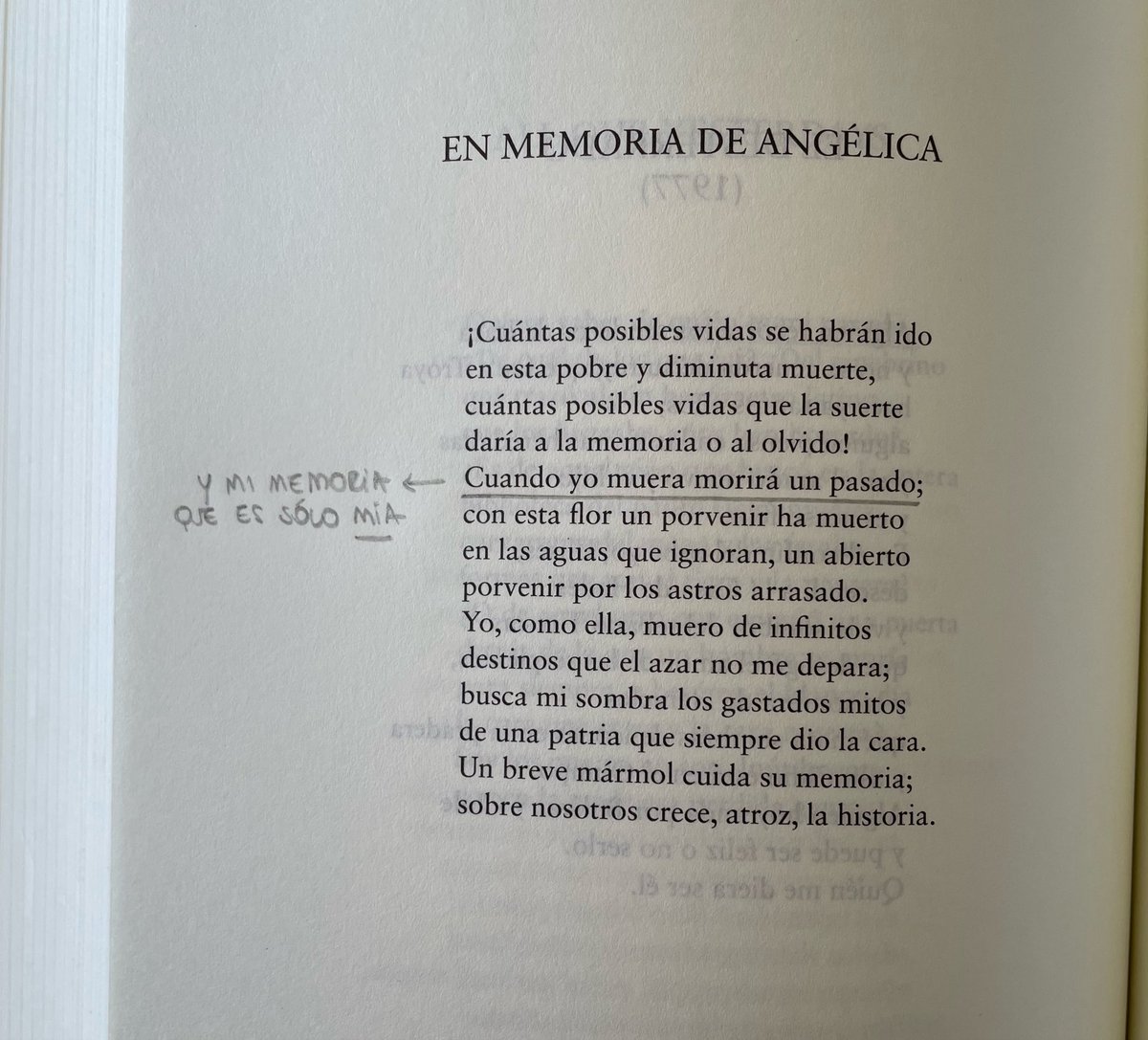 pensando que cuando me muera también se van a morir mis recuerdos, las cosas que solo vivencie yo, los detalles en los que quizás solo yo había reparado, las cosas que no le conté nunca a nadie, mi memoria (!!!)