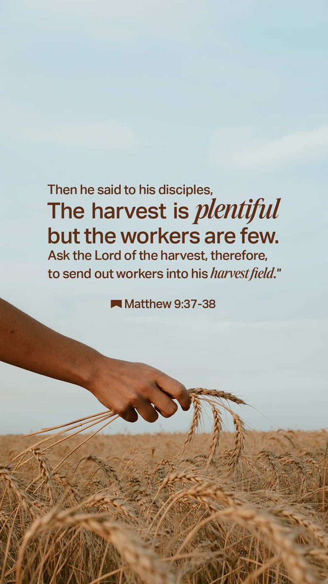 petertryte's tweet image. “Then he said to his disciples, “The harvest is plentiful but the workers are few. 
Ask the Lord of the harvest, therefore, to send out workers into his harvest field.””
Matthew 9:37-38 NIV

#VOTD