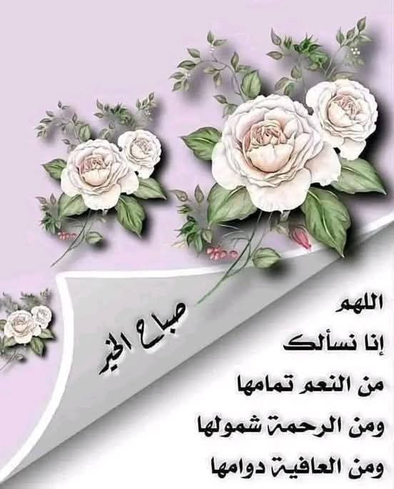 Alkhtany tweet media